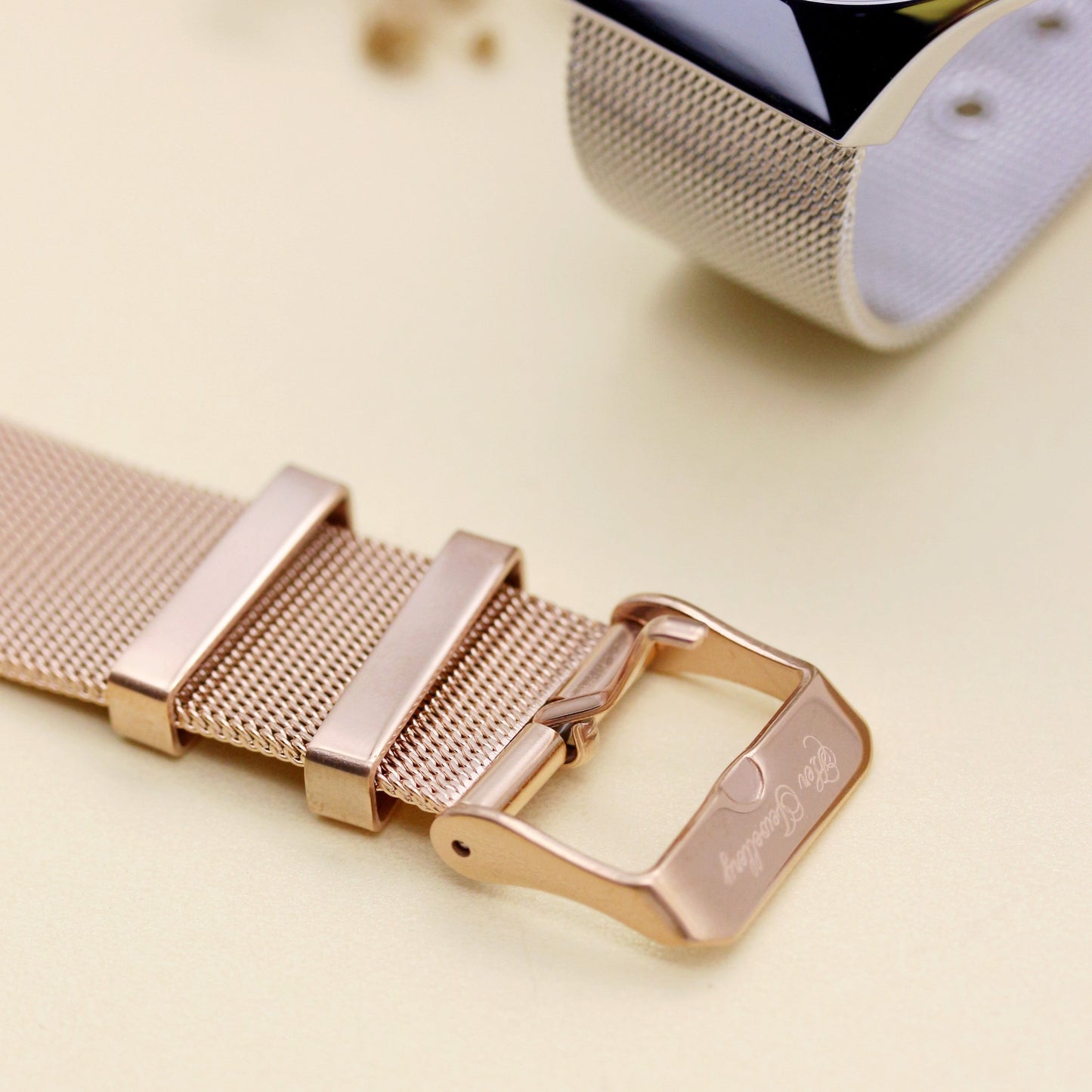 Classic Mesh Watch